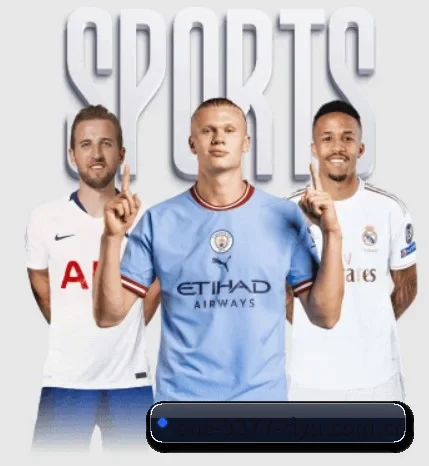 3377体育app下载 APP