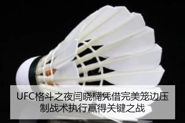 UFC格斗之夜闫晓楠凭借完美笼边压制战术执行赢得关键之战
