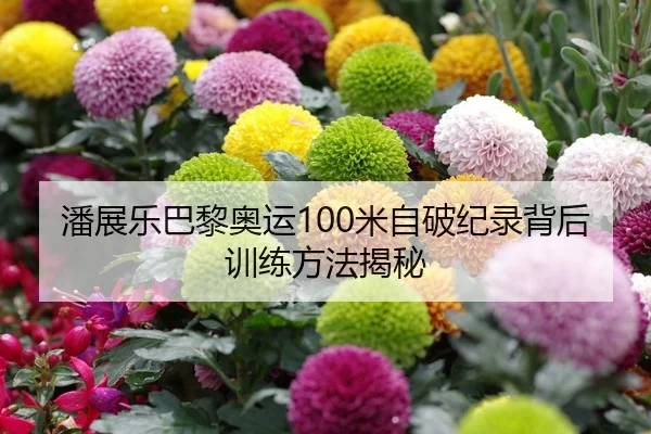 潘展乐巴黎奥运100米自破纪录背后训练方法揭秘