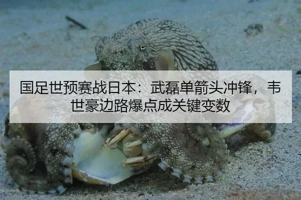 国足世预赛战日本：武磊单箭头冲锋，韦世豪边路爆点成关键变数